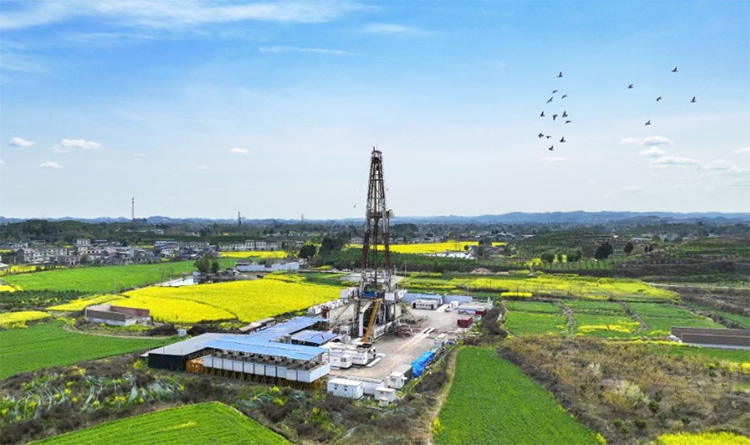 1706690241659718.jpg 13.jpg